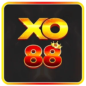 nc logo13